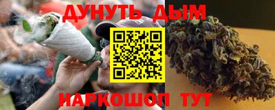 прущие грибы Кандалакша