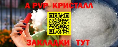 прущие грибы Кандалакша