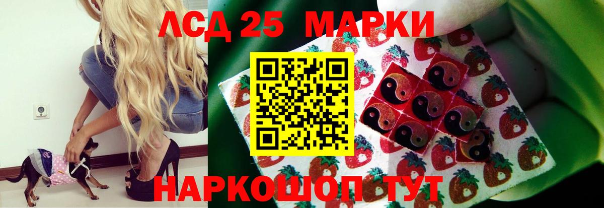  COCAIN Костомукша